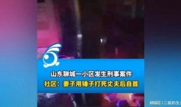 徐州饭店爆料案件视频曝光,案件细节引发公众关注